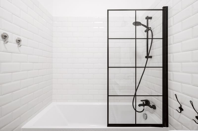 Glass Panel Bathtub