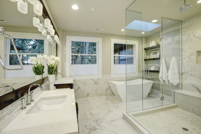 Bathtub Conversion into a Shower